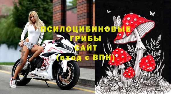 героин Алексин